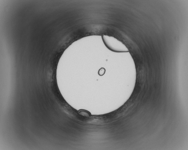 X0000111420750200908241132