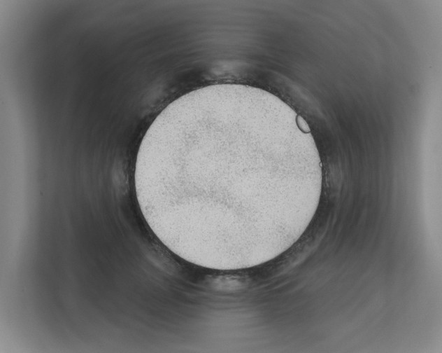 X0000111420751200908241132