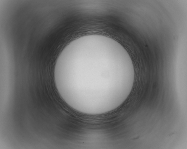X0000111420752200908241132