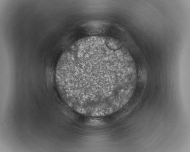 X0000111420753200908241132