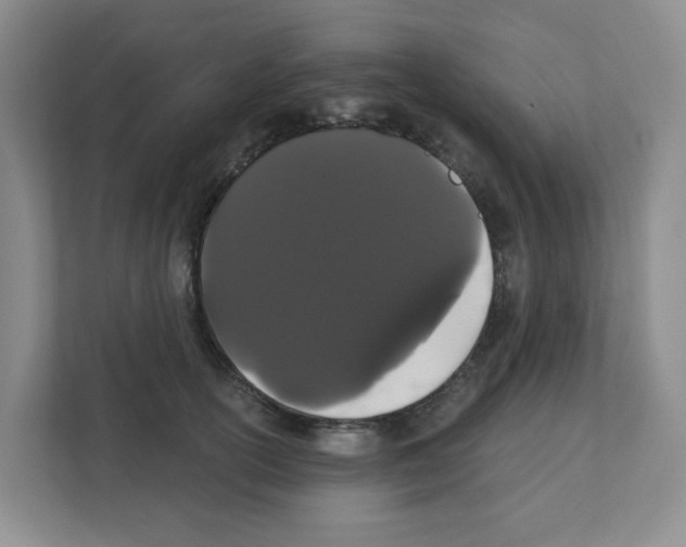 X0000111420754200908241132
