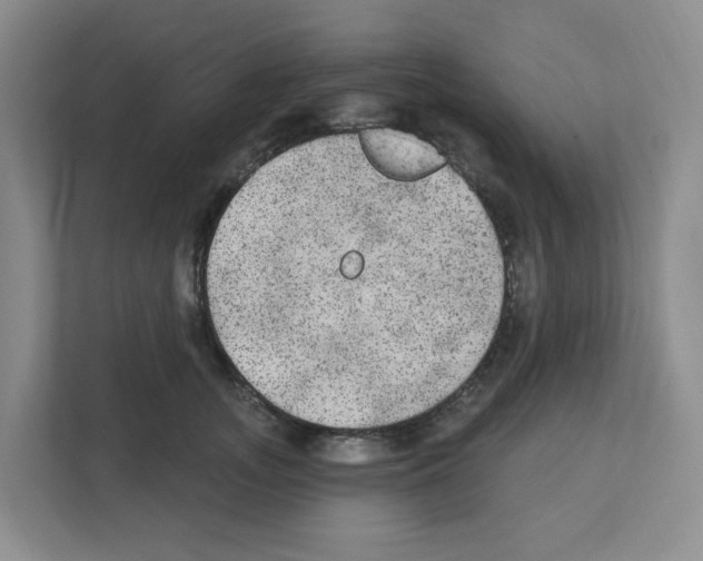 X0000111420755200908241132