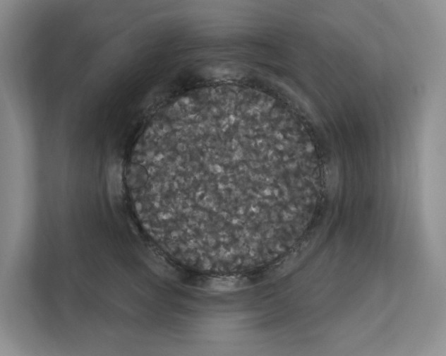 X0000111420757200908241132