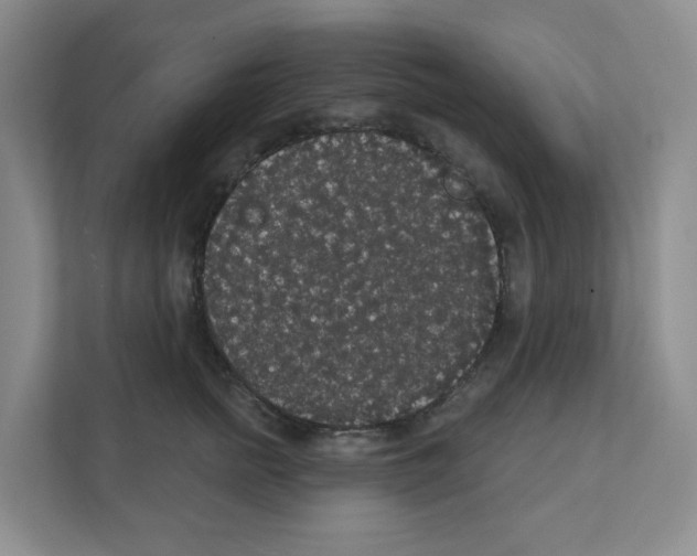 X0000111420758200908241132