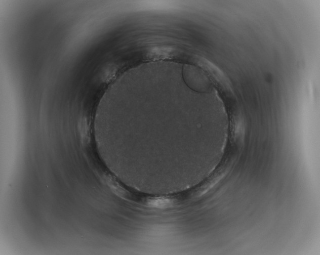 X0000111420759200908241132