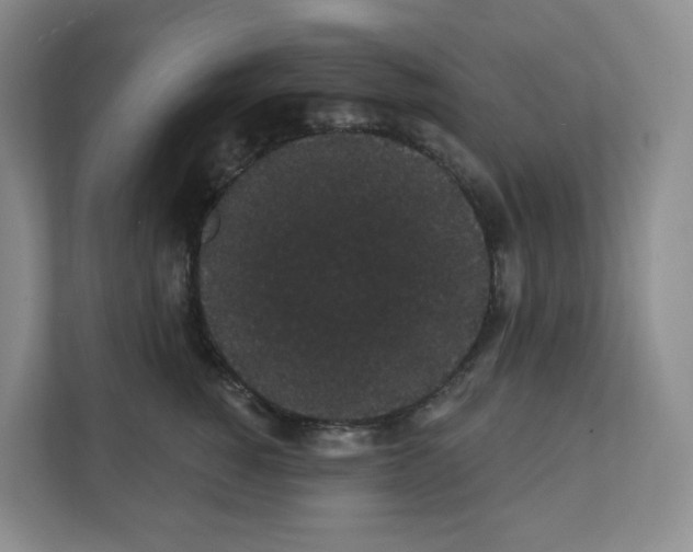 X0000111420760200908241132