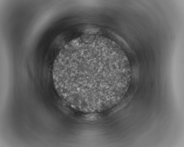 X0000111420761200908241132