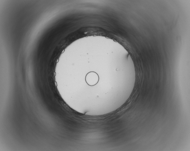 X0000111420762200908241132