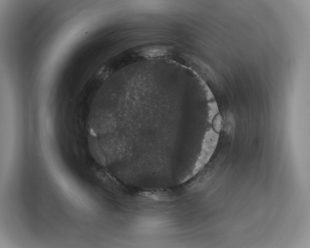 X0000111420763200908241132