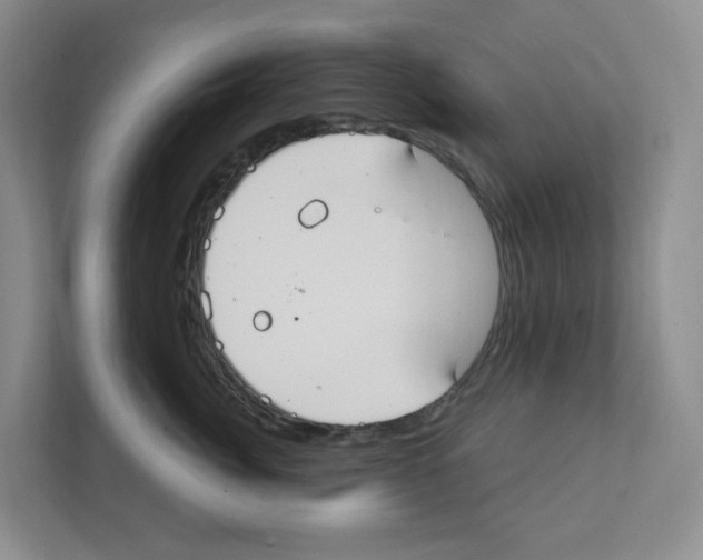 X0000111420764200908241132