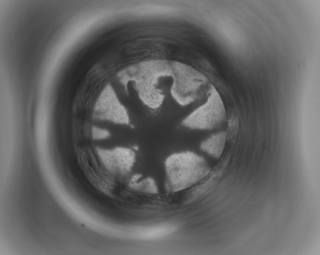 X0000111420765200908241132