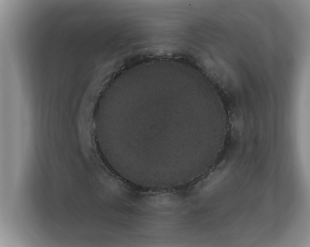 X0000111420769200908241131