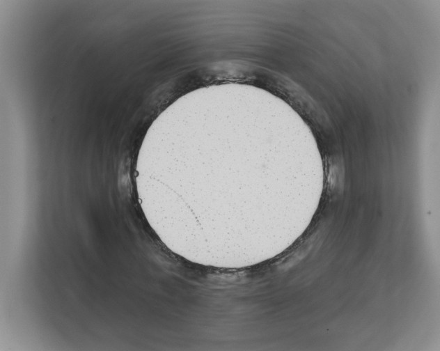 X0000111420771200908241131
