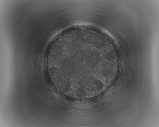 X0000111420775200908241131