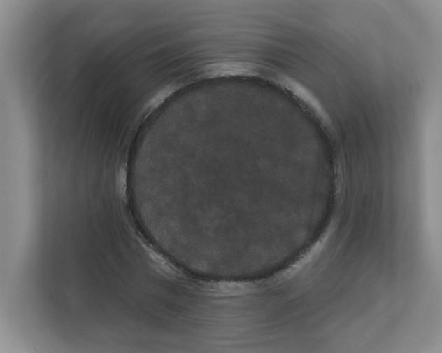 X0000111420777200908241131