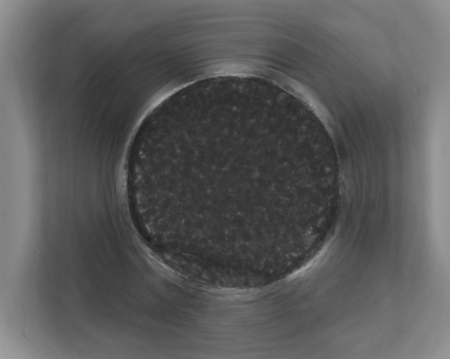 X0000111420779200908241131