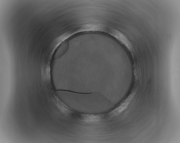 X0000111420781200908241131
