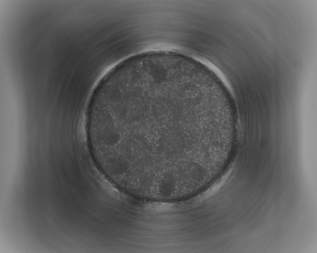 X0000111420783200908241131