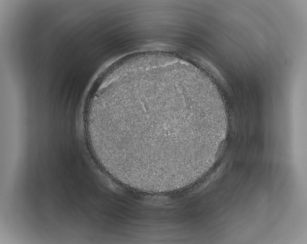 X0000111420784200908241131