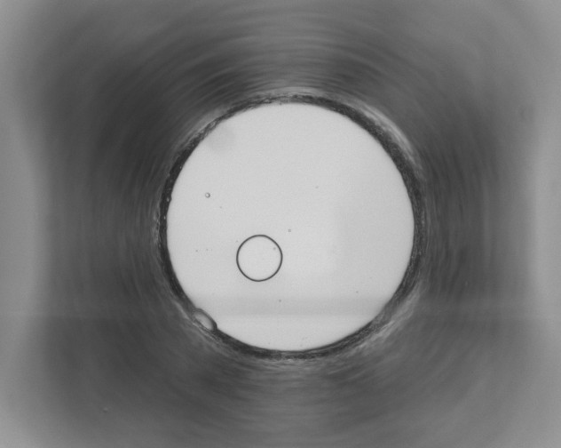 X0000111420785200908241131
