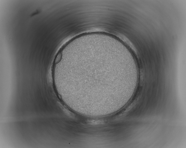 X0000111420789200908241131
