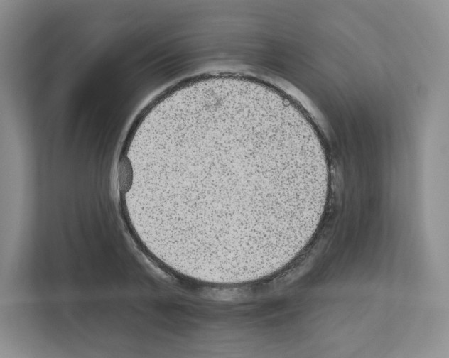 X0000111420791200908241131