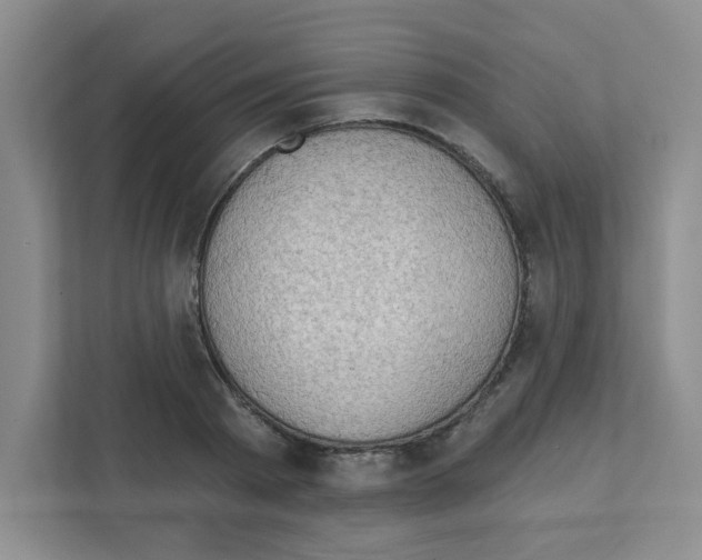 X0000111420793200908241131
