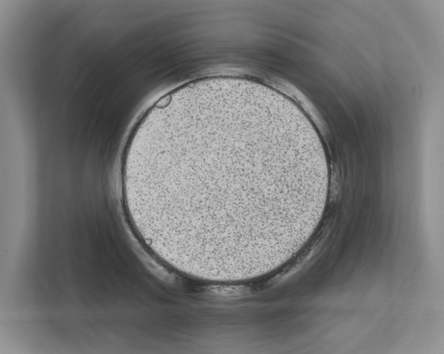 X0000111420795200908241131