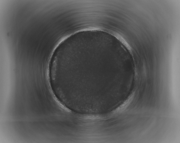 X0000111420797200908241131