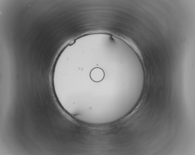 X0000111420805200908241131