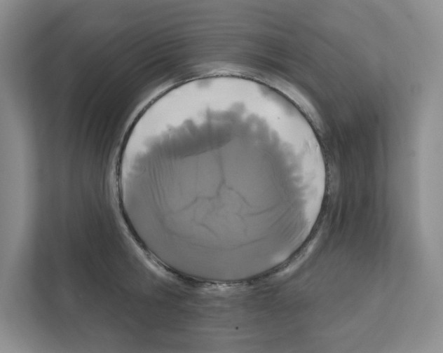 X0000111420806200908241131