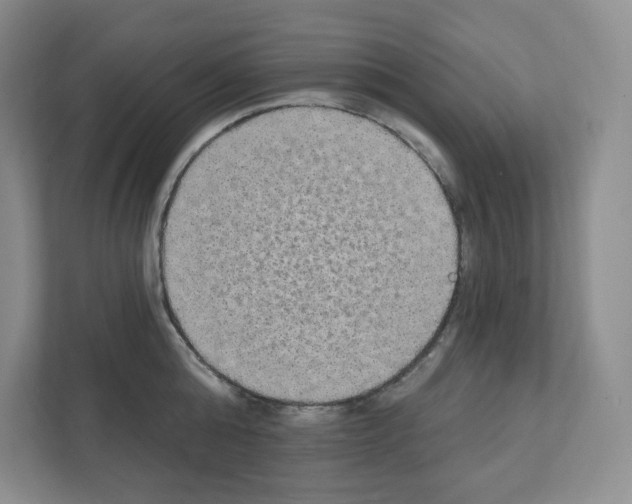 X0000111420808200908241131