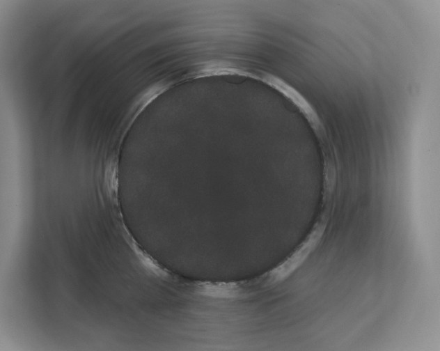 X0000111420809200908241131