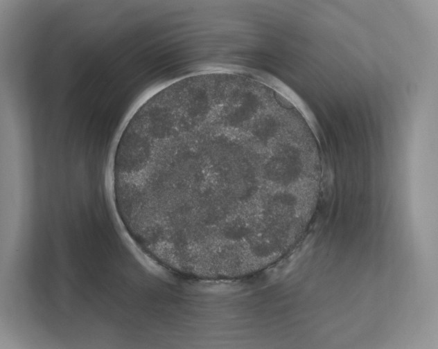 X0000111420811200908241131