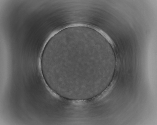 X0000111420813200908241131