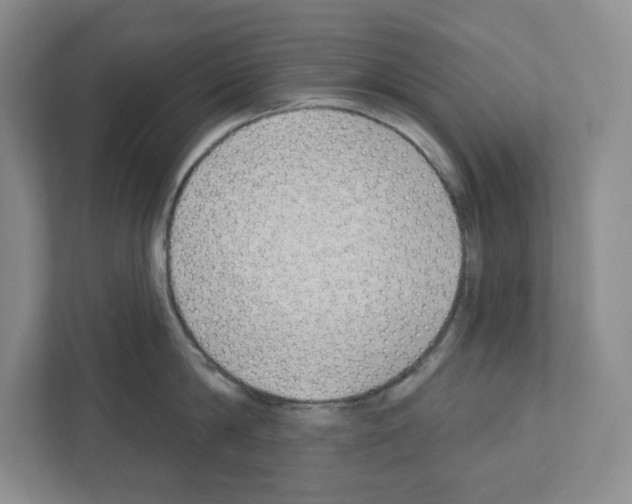 X0000111420814200908241131