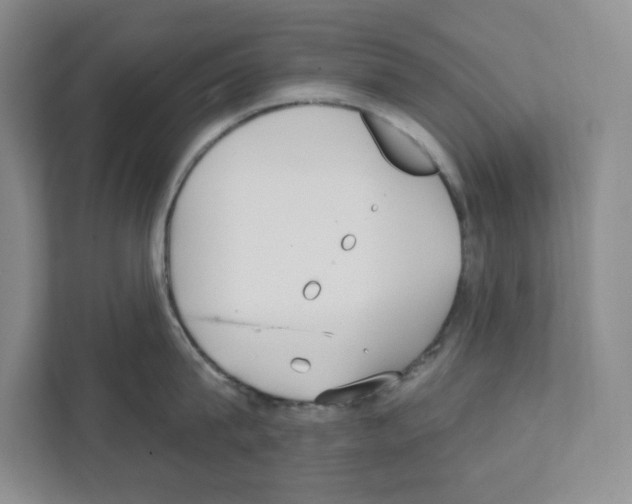 X0000111420815200908241131