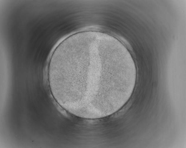 X0000111420816200908241131