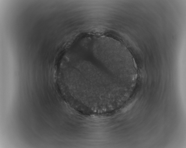 X0000111420818200908241130