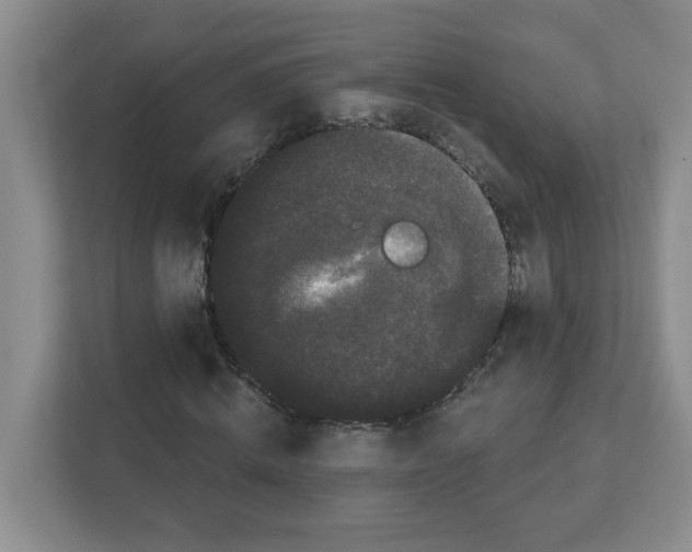X0000111420820200908241130