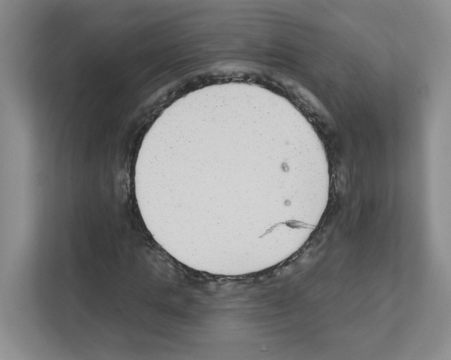 X0000111420821200908241130