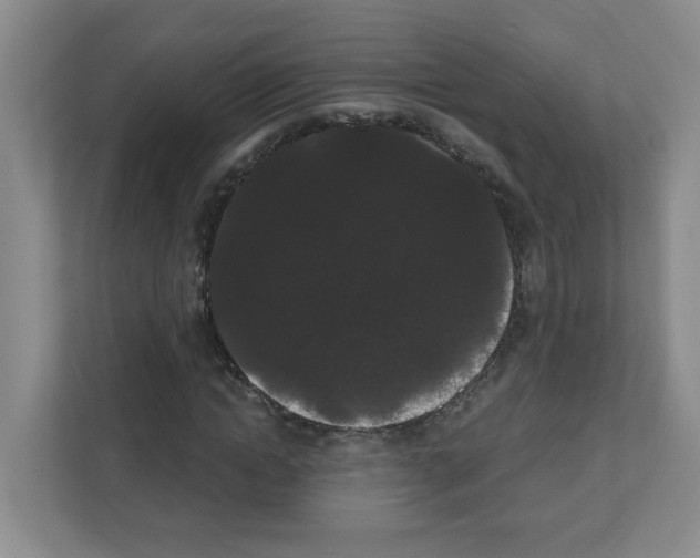 X0000111420822200908241130