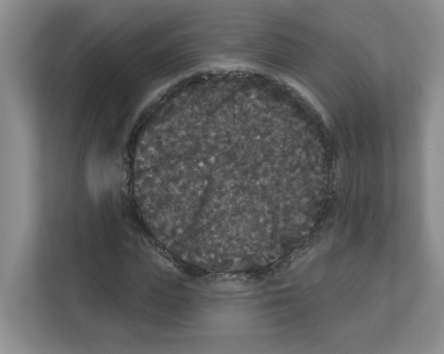 X0000111420823200908241130