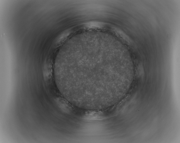 X0000111420824200908241130