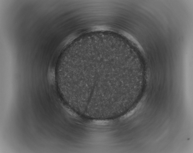 X0000111420825200908241130