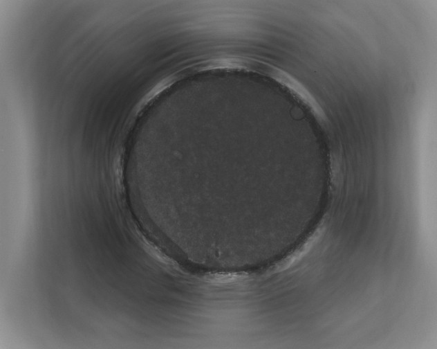 X0000111420826200908241130