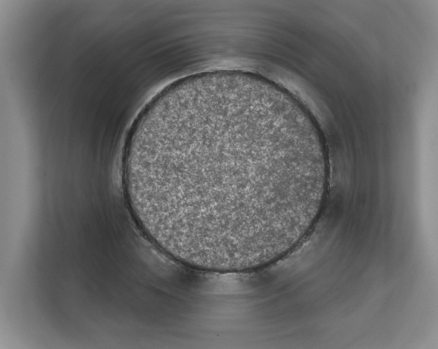 X0000111420828200908241130