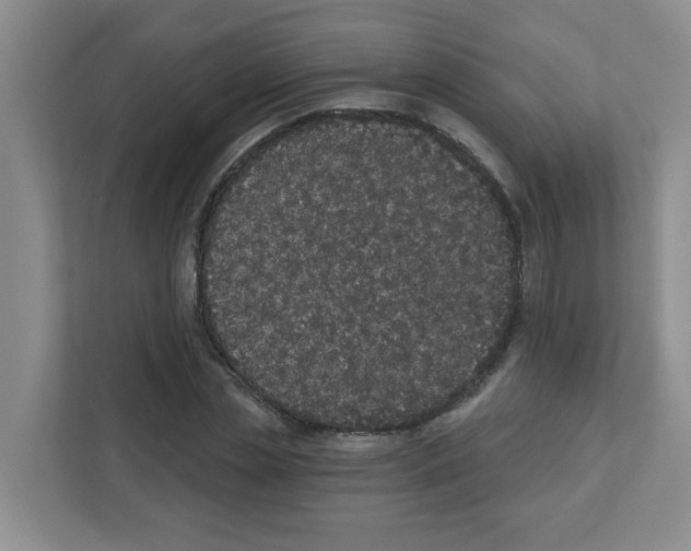 X0000111420829200908241130