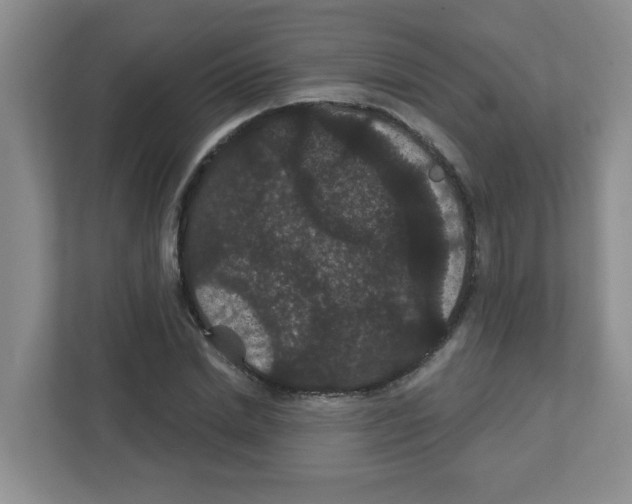 X0000111420830200908241130