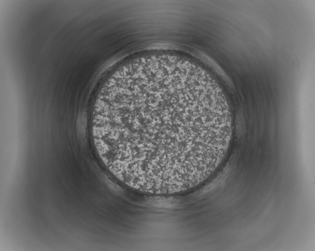 X0000111420831200908241130